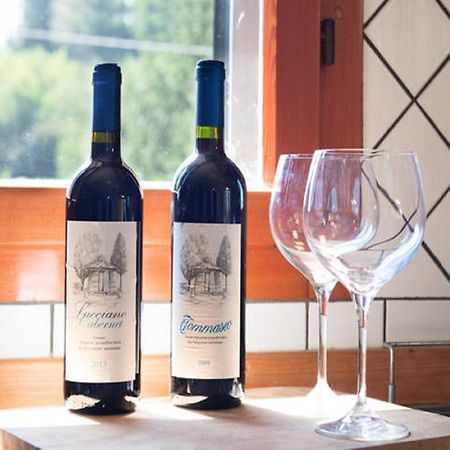 Agriturismo Lucciano Сан Кашано ин Вал ди Пеза Екстериор снимка