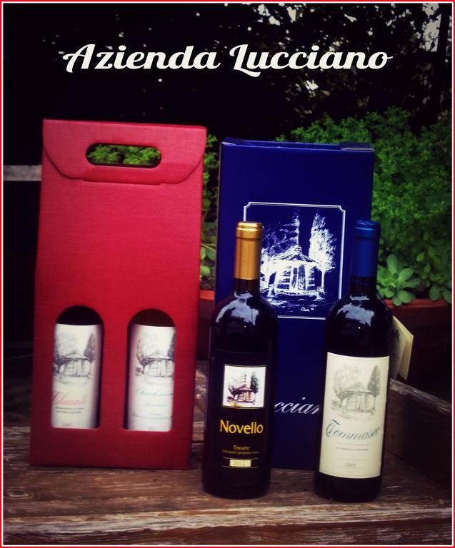 Agriturismo Lucciano Сан Кашано ин Вал ди Пеза Стая снимка